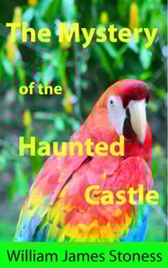 Mystery of the Haunted Castle