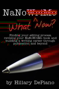 NaNo What Now? Finding Your Editing Process, Revising Your NaNoWriMo Book and Building a Writing Career Through Publishing and Beyond