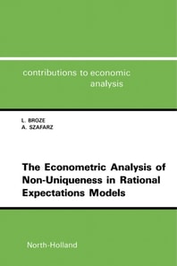 Econometric Analysis of Non-Uniqueness in Rational Expectations Models