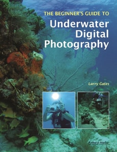 Beginner's Guide to Underwater Digital Photography