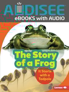 Story of a Frog
