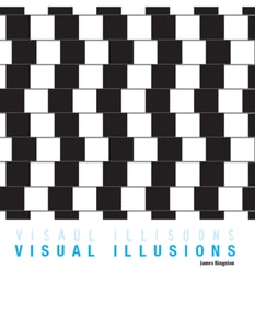 Visual Illusions