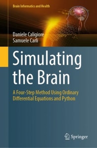 Simulating the Brain