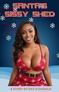 Santa's Sissy Shed
