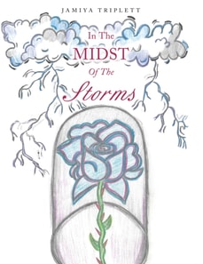 In The Midst Of The Storms