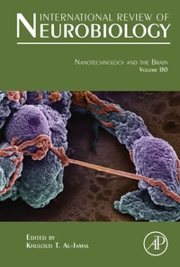 Nanotechnology and the Brain
