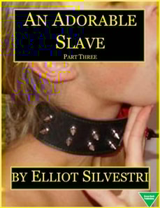 Adorable Slave (Part Three)