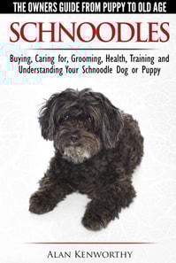 Schnoodles: The Owners Guide from Puppy to Old Age - Choosing, Caring for, Grooming, Health, Training and Understanding Your Schnoodle Dog