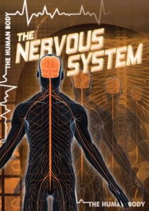 Nervous System