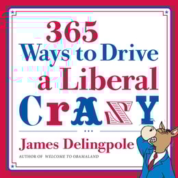 365 Ways to Drive a Liberal Crazy