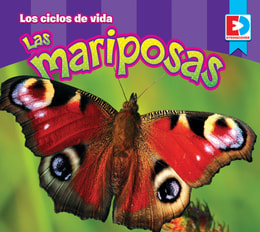Los ciclos de vida — Las Mariposas