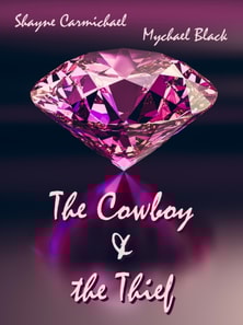 Cowboy and the Thief