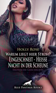 Warum liegt hier Stroh? Eingeschneit - Heiße Nacht in der Scheune | Erotische Geschichte