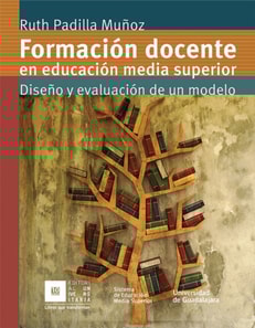 Formación docente en educación media superior