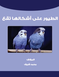 Birds of a feather flock together