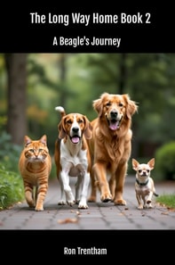 Long Way Home Book 2