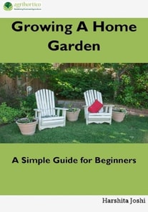Growing a Home Gardens