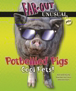 Potbellied Pigs