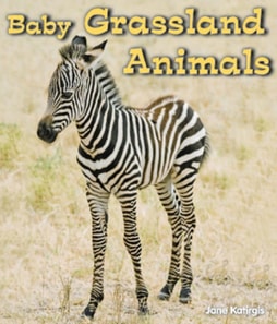 Baby Grassland Animals