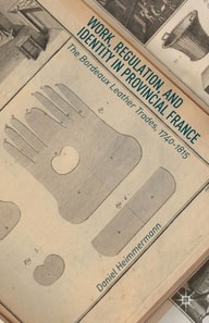 Work, Regulation, and Identity in Provincial France