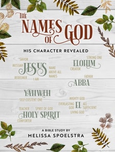 Names of God - Women's Bible Study Participant Workbook