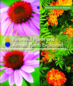 Perennial Plants and Annual Plants Explained