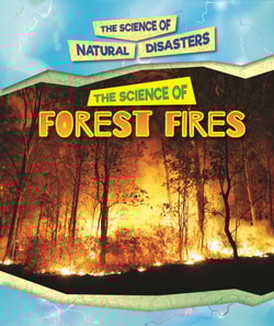 Science of Forest Fires
