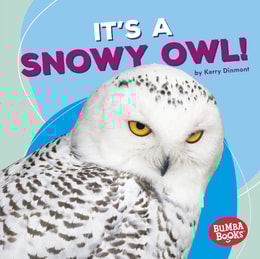 It's a Snowy Owl!