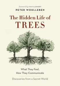 Hidden Life of Trees