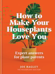 How to Make Your Houseplants Love You