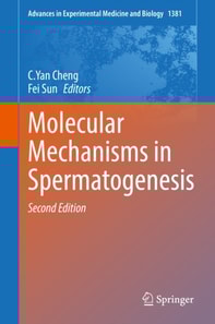 Molecular Mechanisms in Spermatogenesis