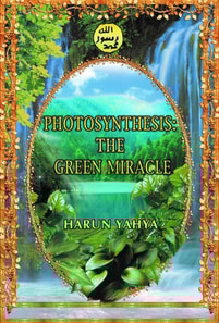 Photosynthesis: The Green Miracle