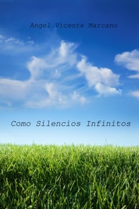 Como Silencios Infinitos