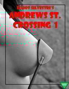 Andrews St. Crossing 1