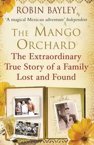 Mango Orchard