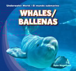 Whales / Ballenas