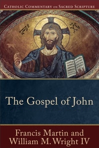 Gospel of John (Catholic Commentary on Sacred Scripture)