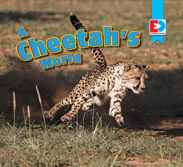 Cheetah's World