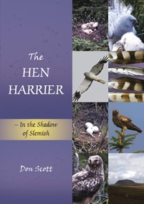 Hen Harrier