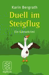 Duell im Steigflug