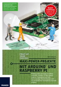 Maxi-Power-Projekte mit Arduino und Raspberry Pi