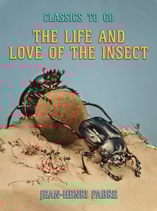 Life and Love of the Insect