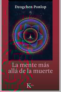 La mente más allá de la muerte