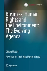 Business, Human Rights and the Environment: The Evolving Agenda