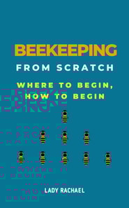Beekeeping From Scratch: Where To Begin, How To Begin