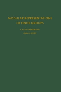 Modular Representations of Finite Groups