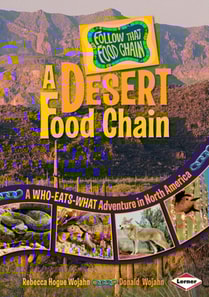 Desert Food Chain