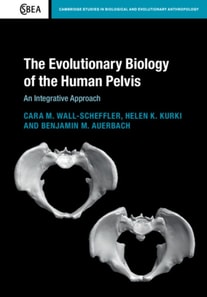 Evolutionary Biology of the Human Pelvis