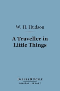 Traveller in Little Things (Barnes & Noble Digital Library)