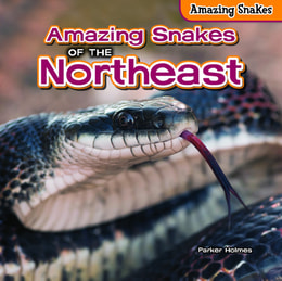 Amazing Snakes of the Northeast